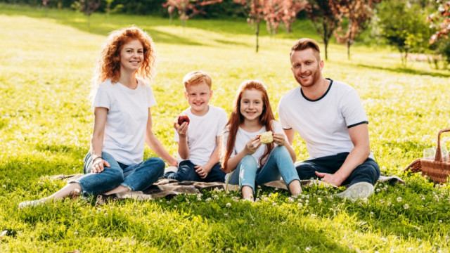 Не дадим клещам испортить: что делать, чтобы сезон пикников обошёлся без драм