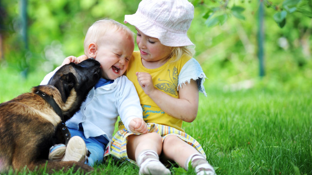 дети и животные
