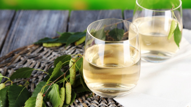 Березовый сок: самый полезный весенний напиток и его свойства