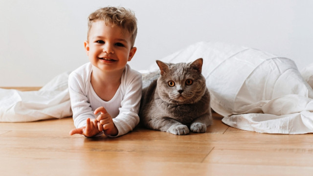 Безопасное соседство: когда в доме новорожденный и домашние животные