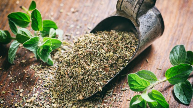 Специя орегано