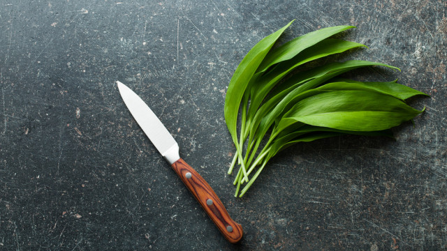 польза черемши