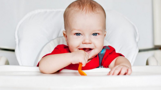 Прикорм взимку: з яких овочей почати та де їх шукати?