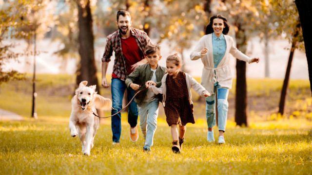 Психологія відносин: як живуть щасливі родини?