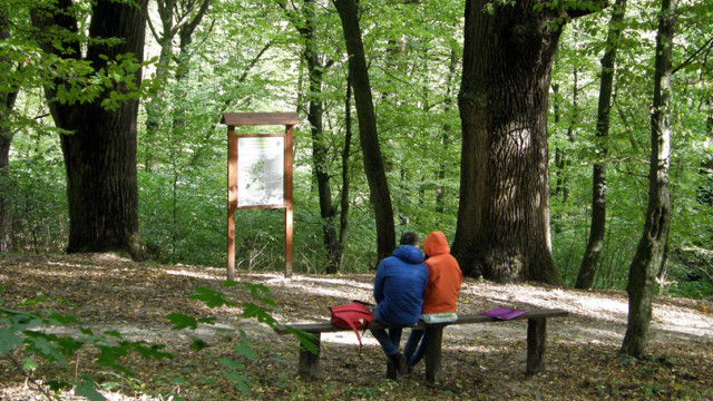 5 правил прогулки без вреда для окружающей среды