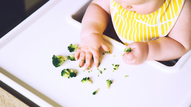 первый прикорм