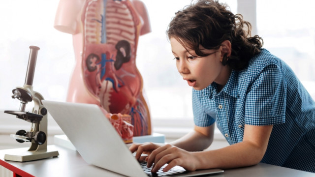 Интересно про тело человека: как устроена иммунная система