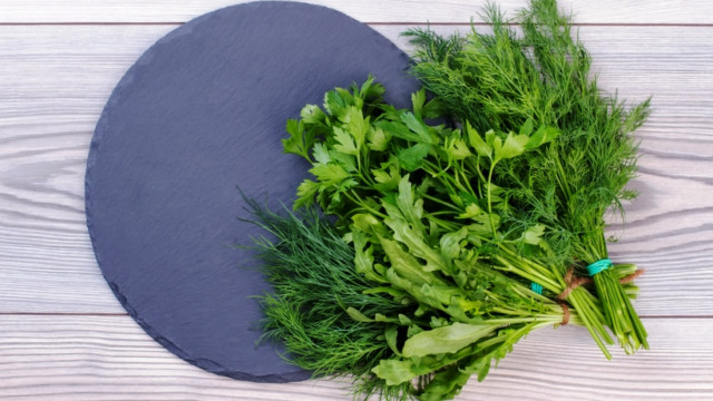 Весняна зелень: чим корисні петрушка та кріп?