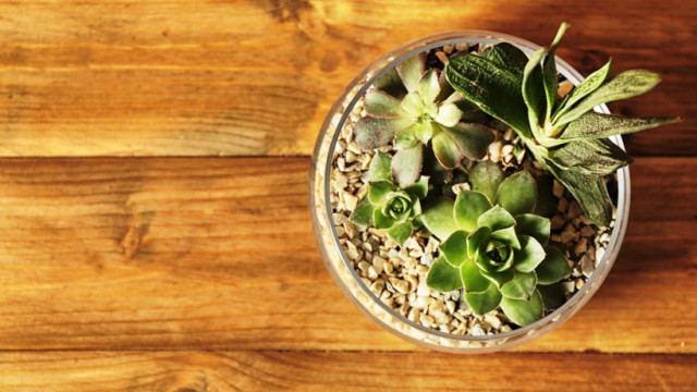 Творчество с ребенком: превращаем стеклянные банки в стильные элементы интерьера