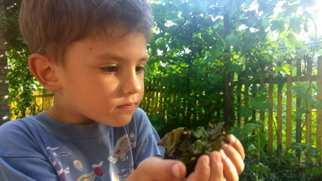 развитие детей в селе