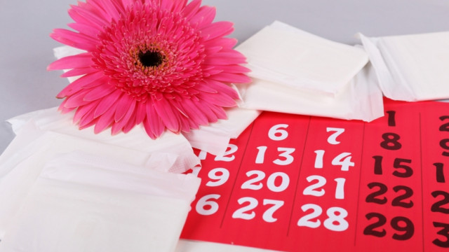 "Цікава наука": как и почему случается менструация