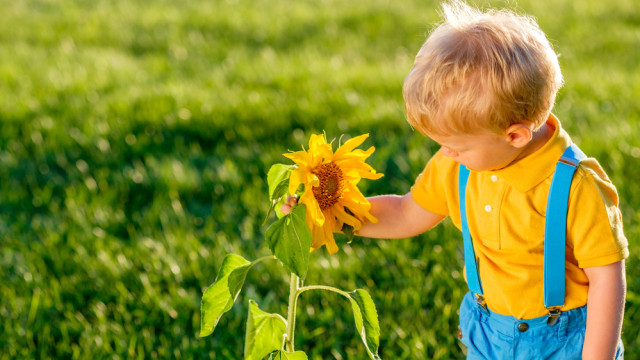 естественное воспитание