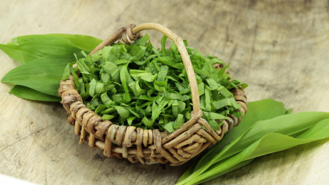 Как заморозить шпинат