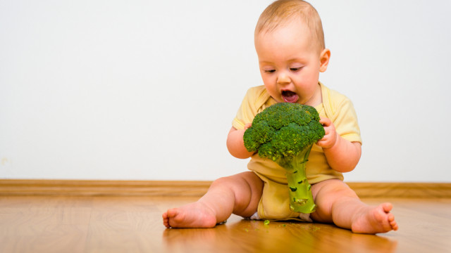 Початок прикорму: особистий досвід