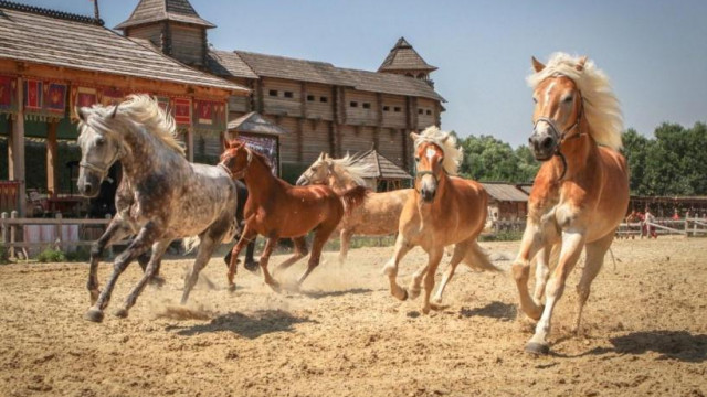 Киевлян приглашают посетить уникальное конное шоу в парке "Киевская Русь"