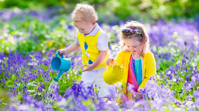 Лето в деревне: особенности воспитания городских и сельских детей