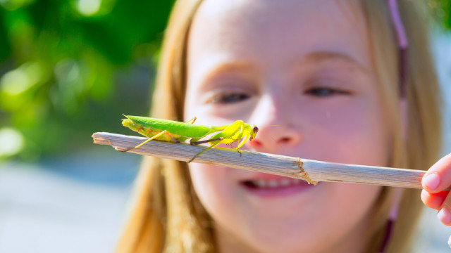 Павук, таракан, сороконіжка: що робити якщо дитина боїться комах